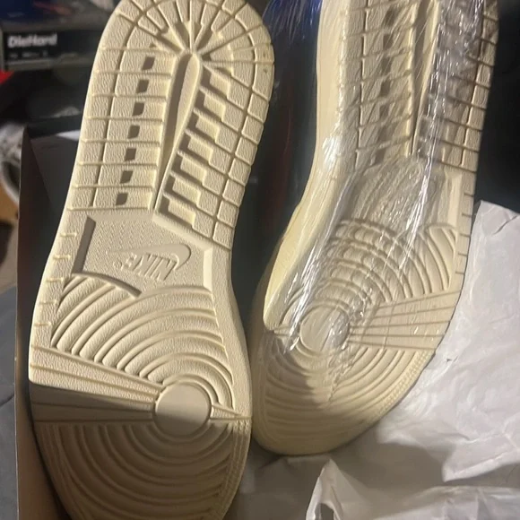 Jordan 1 defiant